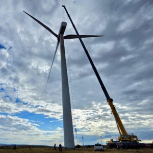 365 TON   |   LTM 1300-6.3