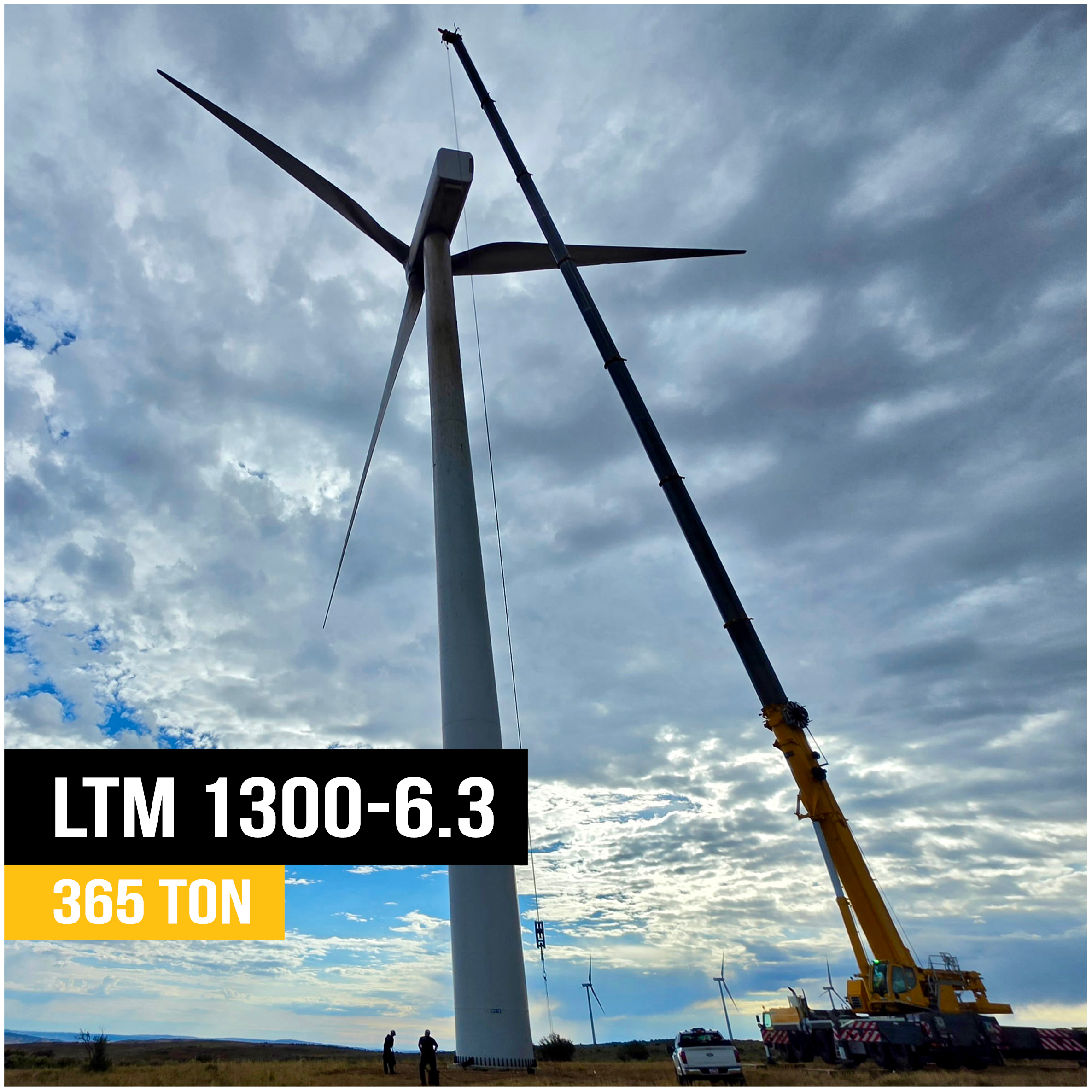 LTM 1300